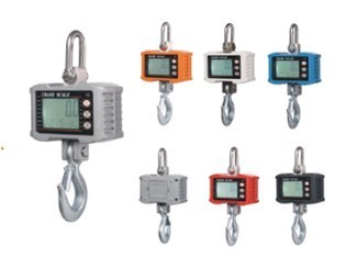 Hanging Scale Fishing Scale
