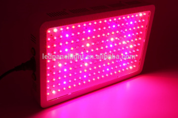 5W Epistar LED Chips CE ROHS approved High Power 1000w cheap price grow lights in Christmas Promotion Led indoor grow light