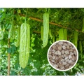 Extracto de melón amargo salvaje en polvo Carantin