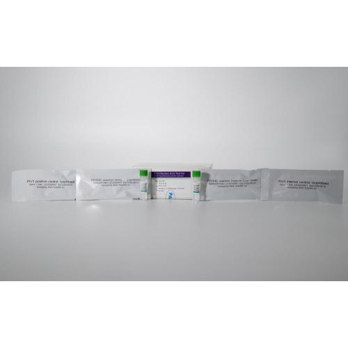 Kit de teste de ácido nucleico PIV3 (método da sonda de pCR-fluorescência)