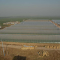 Agricultura Túnel PE Polytunnel Invernadero para la venta