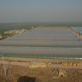 Agriculture Tunnel PE Polytunnel Greenhouse for sale