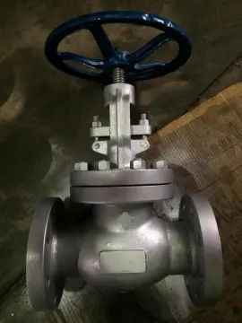A216WCB flange globe valve