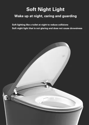 Features of smart toilet