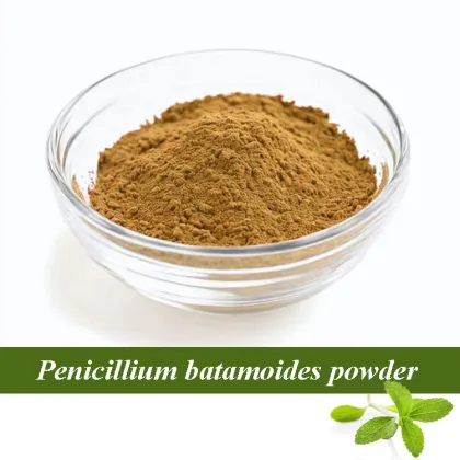 Bulk cordyceps militaris extract powder​