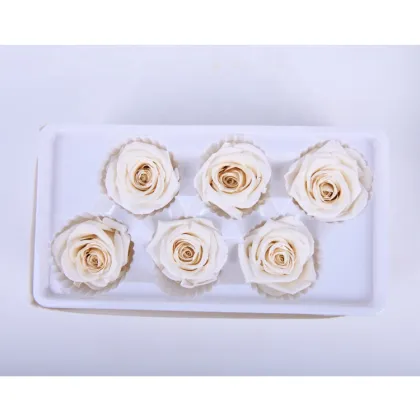 Wholesale Everlasting Rose Heads - Affordable Preserved Flowers