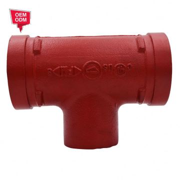 Cina CSTEEL SCOLATO TACCHIO RIDUZIONE PER TUBI E ACCIAIO DELLA 125 mm da 1/2 pollici