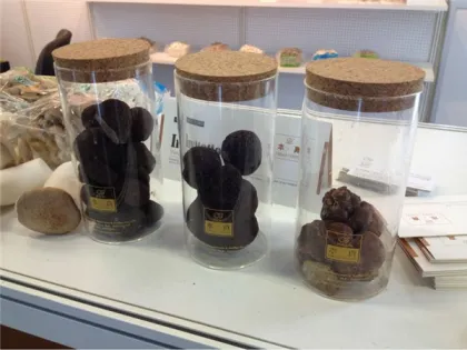 Delicious Wild Black Truffle Mushroom Hot Sale                        
                                                Quality Choice