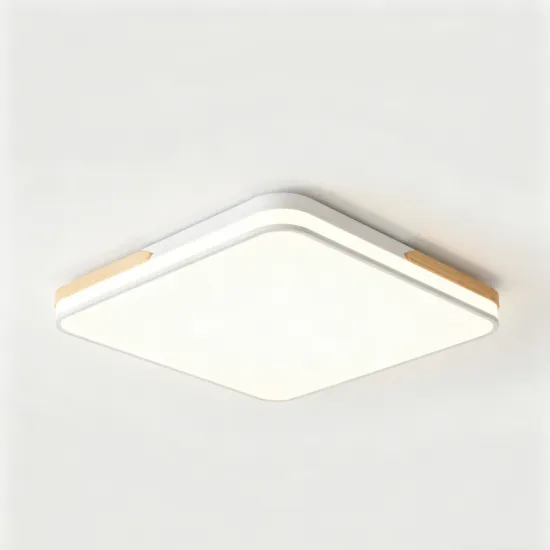 Modern LED Flush Mount Ceiling Light