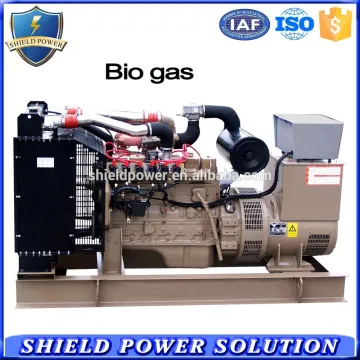 Power 10KW-500KW Marsh Gas Generator Set Biogas Generator Set