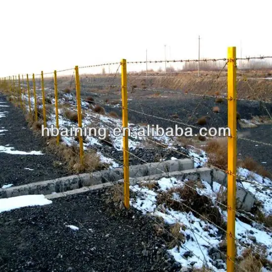 barbed wire military fence