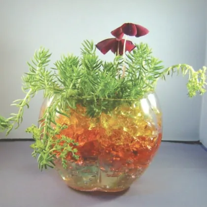 Colorful Magic Crystal Soils for Plants Decoration