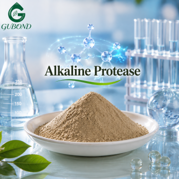 Mikrobiologiczna proteaza alkaliczna do przetwarzania pasz i białek