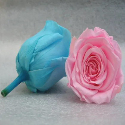 Black Preserved Rose Heads 5-6cm - Wholesale Wedding Flowers from Kunming