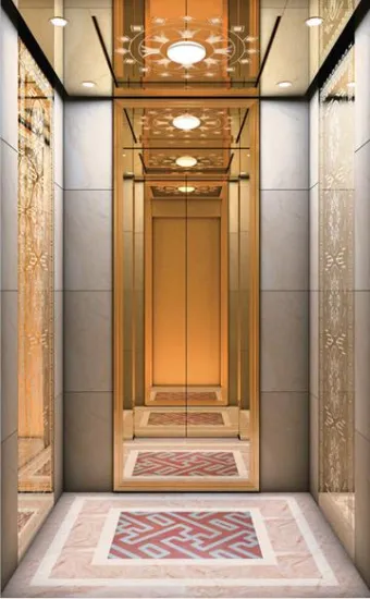 Best Quality Vvvf Control Passenger Elevator