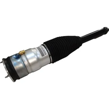 Airmatic Spring Suspension Shock Absorber Strut for Tesla Model S REAR RWD