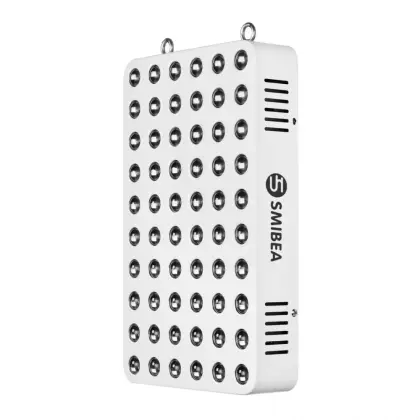 2020 Newest Laser Led Light Therapy Beauty Device