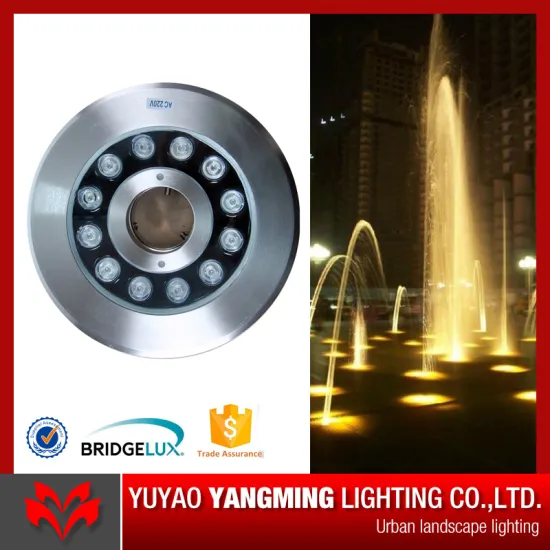 China factory stainless steel made RGB DC12v/24v LED underwater fountain lamps