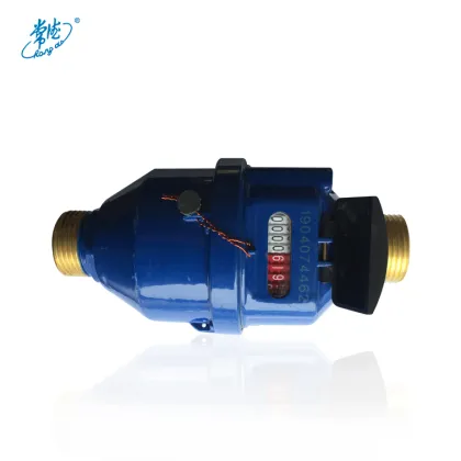 R160 CDWM Brand DN15 Volumetric Rotary Piston Water Meter