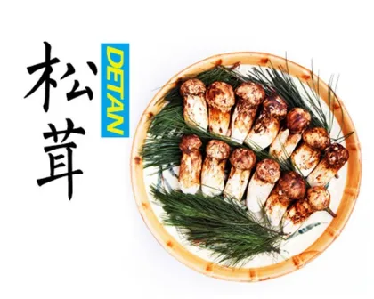 Wild Edible Fresh Matsutake Mushroom