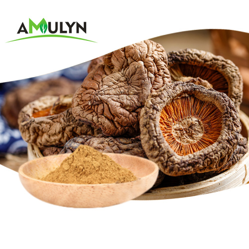 Shiitake Mushroom extract Mushroom polysaccharide