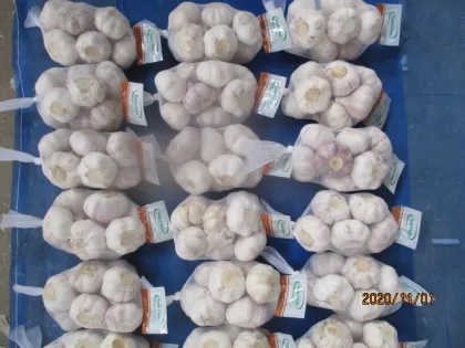 Purchase Fresh White Garlic