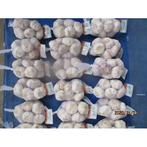 Purchase Fresh White Garlic