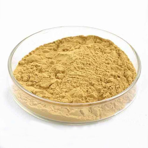 Yucca Schidigera Extract Sarsaponin