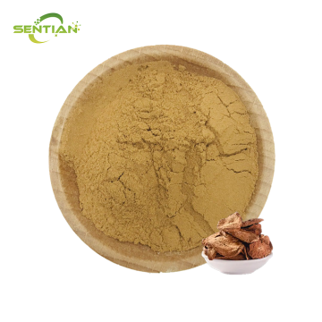 Natural Cynomorium Extract for Dietary Use