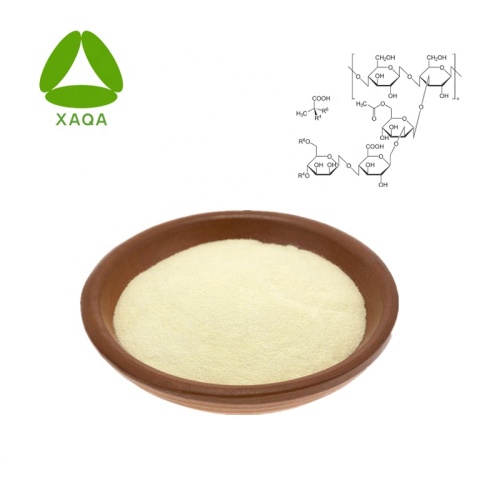 Xanthan Gum Powder Preis Cas No 11138-66-2