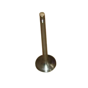 Genuine Auto Parts Exhaust Valve Wholesale - Geely GC7 (1030001900)
