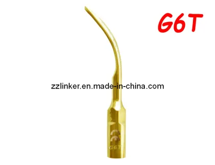 Woodpecker Golden Scaler Tips/Ultrasonic Scaler Tips/G6t Scaler Tips/Woodpecker Golden Tips