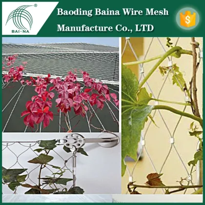 High quality stainless steel fence for climbing walls plants