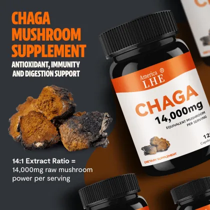 Mushrooms Chaga Mushrooms Capsules Support Health