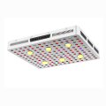 US Ready Stock 3000W COB LED wachsen Licht