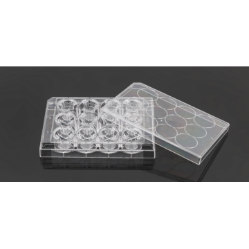 PC Memberane Cell Culture Inserts สำหรับแผ่น 12 หลุม