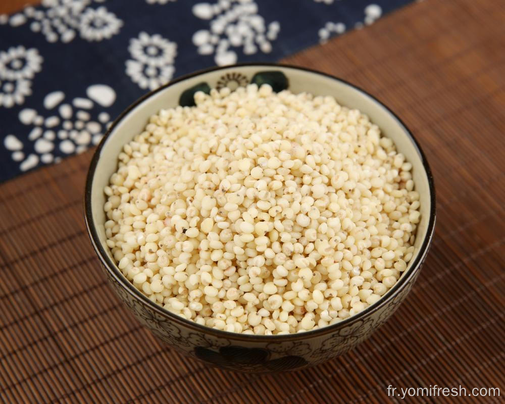 Grains de riz les plus sains