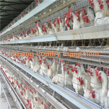 Industry-Specific: Egg Chicken Layer Cages (automatic) Quality Guarantee (JF-K-A0102)