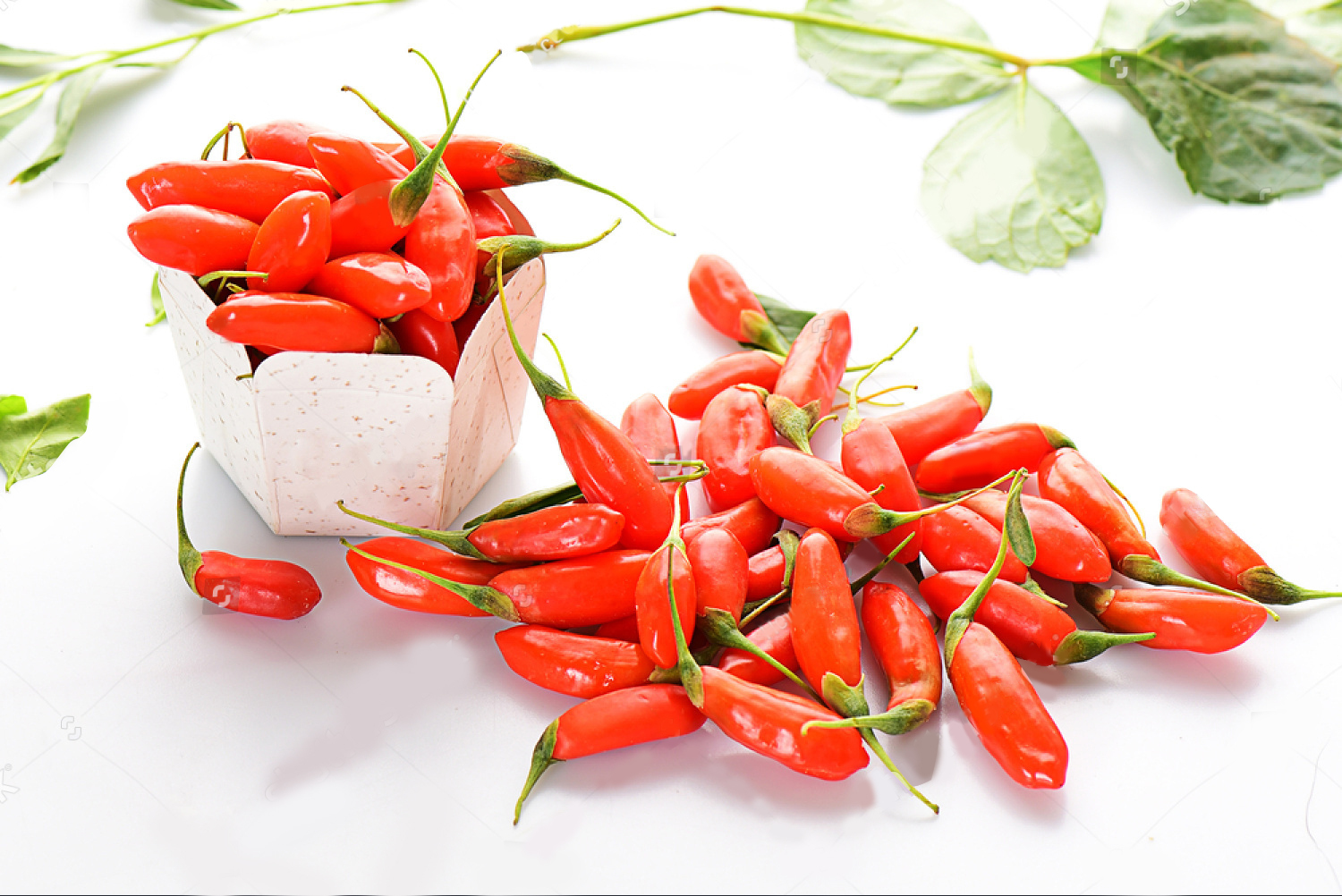 goji berry extract (3)