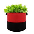 Gartenkartoffelfilzgefühle Pflanze Wachsen Beutel