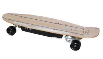 Electric Skate Board