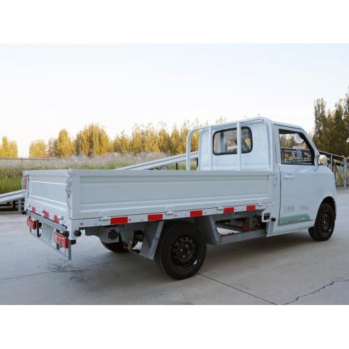 Chengshi x2 Electric Cargo/ Box Truck