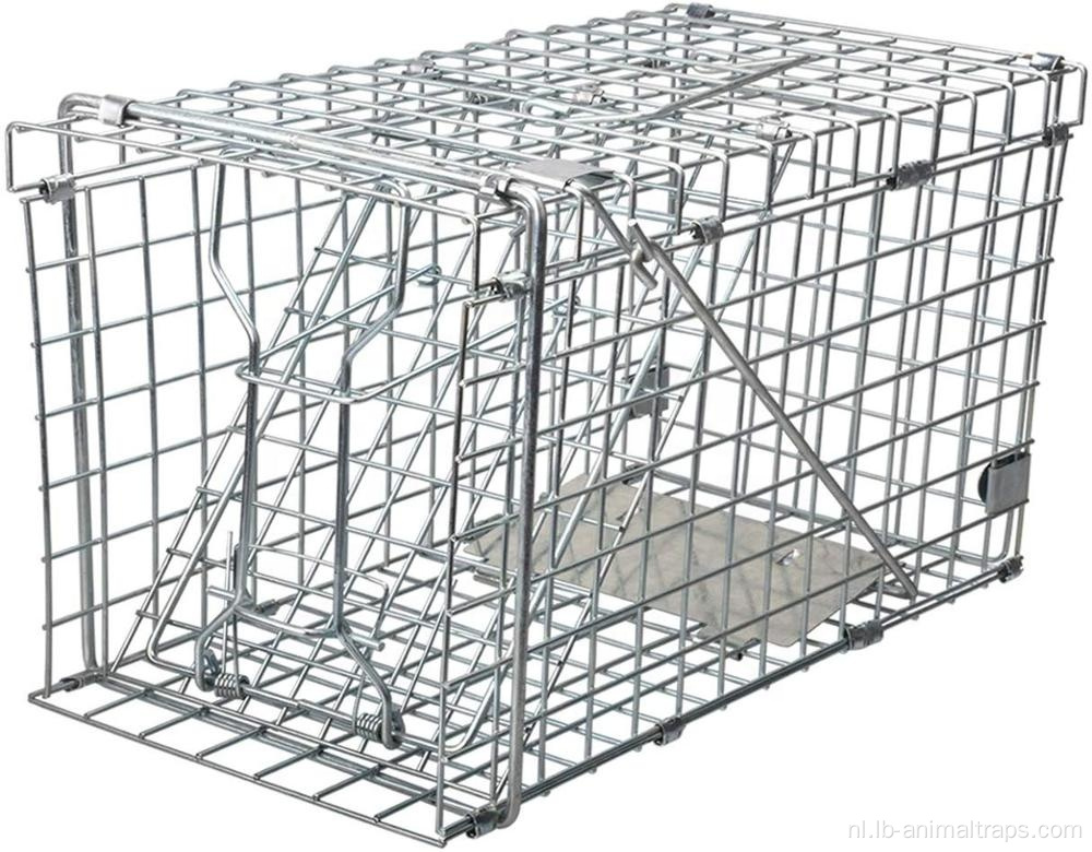 Squirrel Trap Inklapbare Humane Live Squirrel Cage Trap
