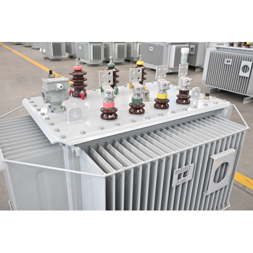 S11 20KV 1000KVA Oil Inmersed Transformers