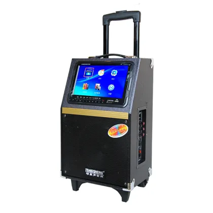 Portable Outdoor Dance Display Machine: Special Sound A8-13
