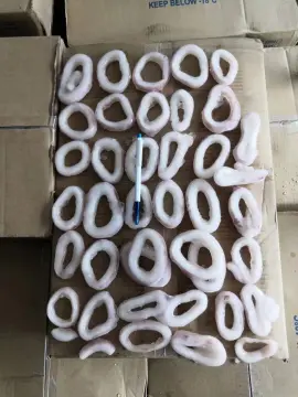 IQF frozen Squid Rings Sthenoteuthis Oualaniensis Lesson