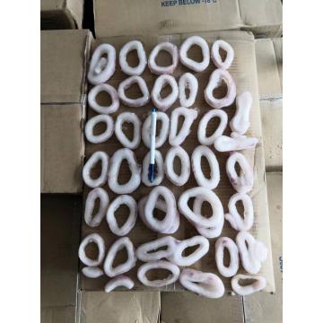 IQF Frozen Squid Ring