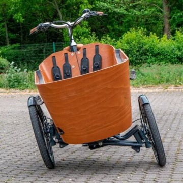 Efficient Denmark-based E-Cargo Bike with Automatic Rain Cover: Balancing Market Needs, Ecology, and Time-Saving Features