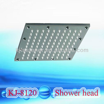 Stainless steel shower head with arms