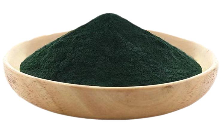 Spirulina